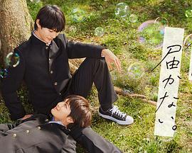 朝阳群众吃瓜黑料网视频